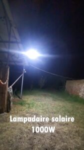 503787743 1347299779676329 3955752869725469796 N 1