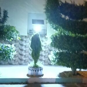 519627667 17893215804260742 2929963234970735065 N